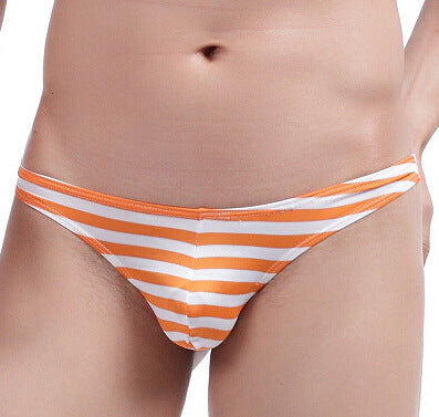 セクシーランジェリー 下着 男性用 ローライズ ストライプTバック s4_A-015
