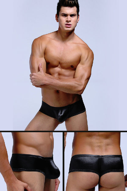 セクシーランジェリー 下着 男性用 ローライズストライプブリーフ s4_C024