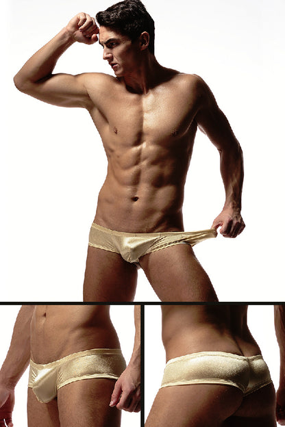 セクシーランジェリー 下着 男性用 ローライズストライプブリーフ s4_C024