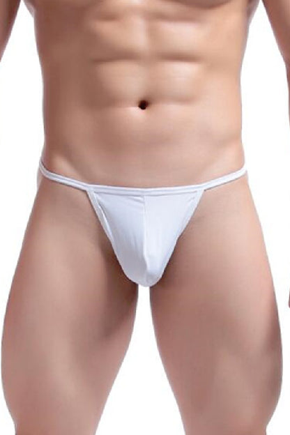 セクシーランジェリー 下着 男性用 コットン素材 ローライズTバックショーツ s4_C045