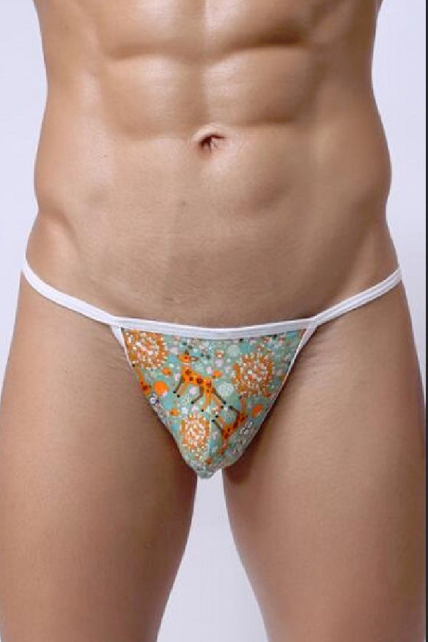 セクシーランジェリー 下着 男性用 コットン素材 ローライズTバックショーツ s4_C045