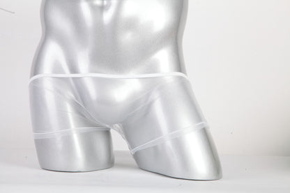 セクシーランジェリー 下着 男性用 透け感 ネット素材 ローライズボクサーパンツ s4_C092