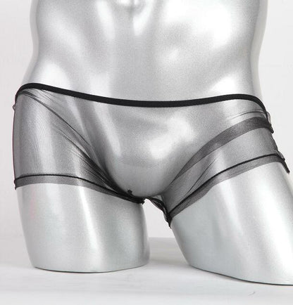 セクシーランジェリー 下着 男性用 透け感 ネット素材 ローライズボクサーパンツ s4_C092