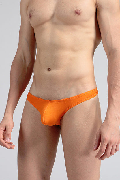 セクシーランジェリー 下着 男性用 モダール素材 ローライズTバックショーツ s4_E06