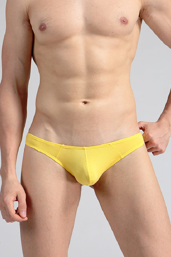 セクシーランジェリー 下着 男性用 モダール素材 ローライズTバックショーツ s4_E06