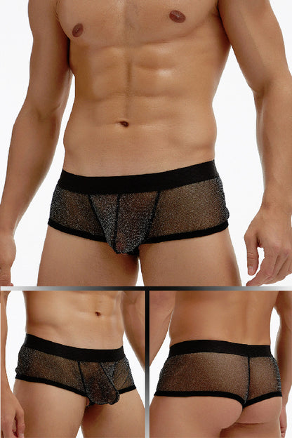 セクシーランジェリー 下着 男性用 メンズ 透け感メッシュ  ショートボクサーパンツ s4_E076