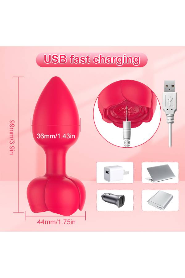 男女共用 アダルトグッズ セルフプレジャー ワイヤレスリモコン操作 アナルプラグ sTY3_GM-HT050