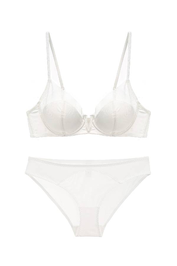 セクシーランジェリー 下着 女性用  Vカット シアー ランジェリーセット sUW3_819