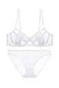 セクシーランジェリー 下着 女性用 シアー素材 ランジェリーセット sUW3_9306